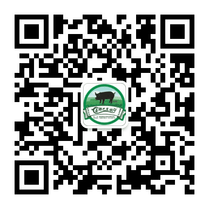 玉都巴黑猪公众号二维码