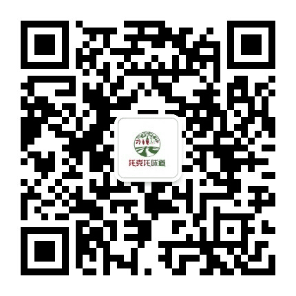 走进托克托公众号二维码
