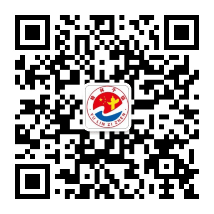 榆林子镇微平台公众号二维码
