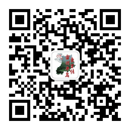 雷州半岛东里情公众号二维码