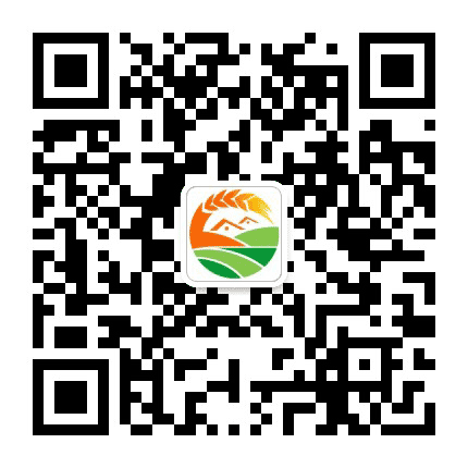 别山里公众号二维码