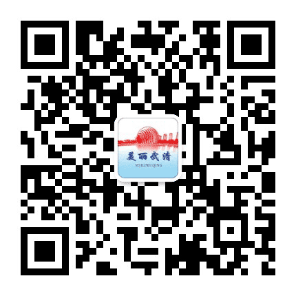 美丽武清公众号二维码