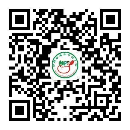 合肥瑶海和平幼儿园公众号二维码