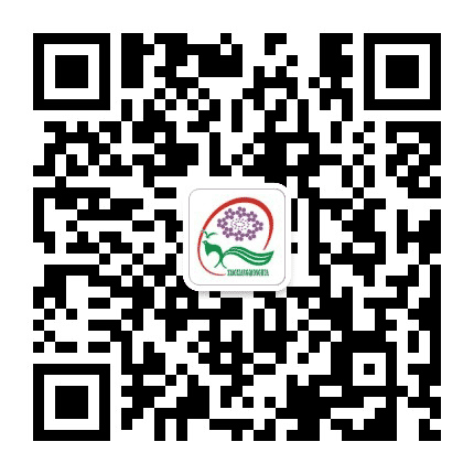 康宁文化公众号二维码