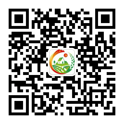 白庙先锋号公众号二维码