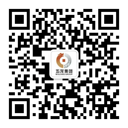 五龙投资集团公众号二维码