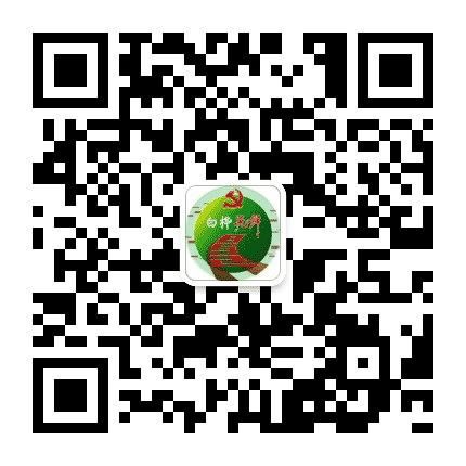 八五二白桦先锋公众号二维码