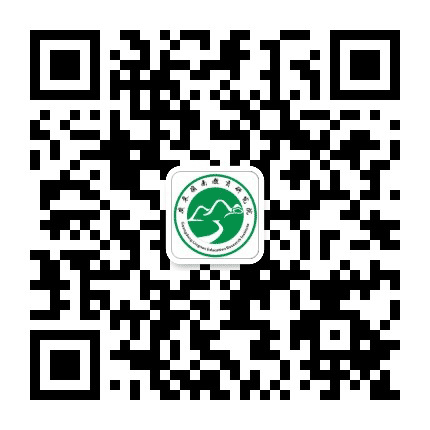 岭南教育资讯公众号二维码