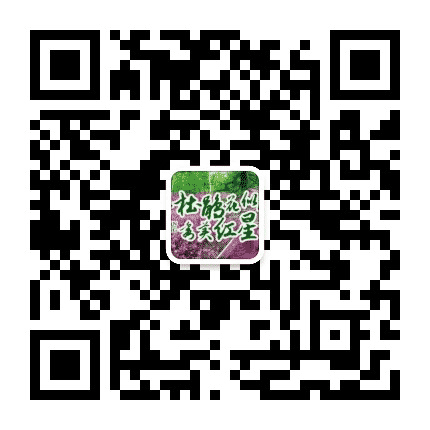 红星政法公众号二维码