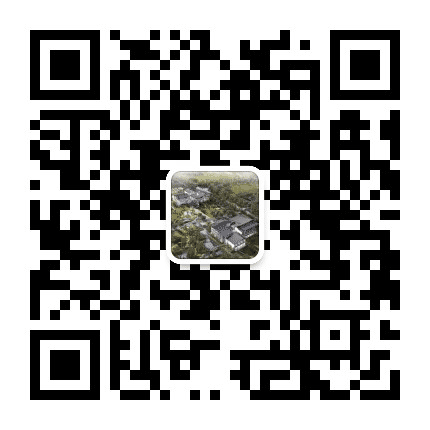 金汇伟大小镇公众号二维码
