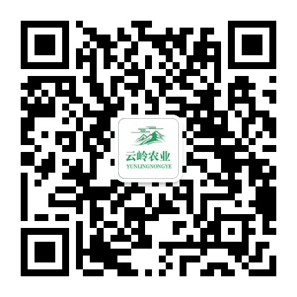 云岭农业公众号二维码