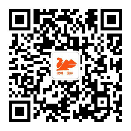 驼峰看世界公众号二维码