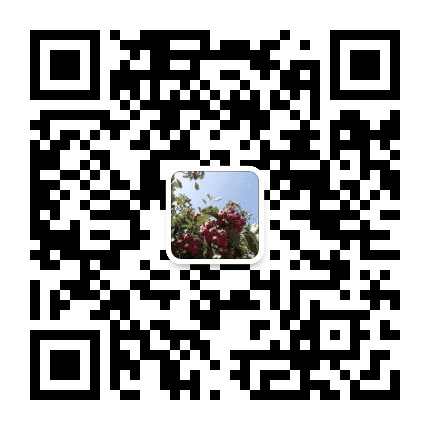 泰安市下港镇木营村公众号二维码
