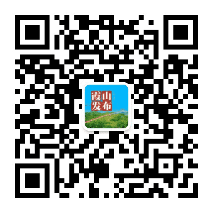霞山宣传公众号二维码
