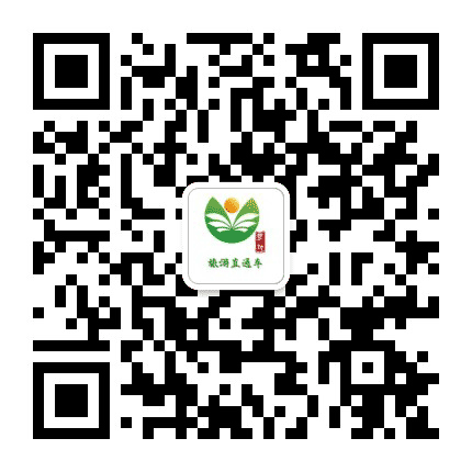 登封旅游直通车公众号二维码