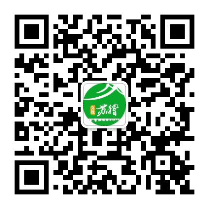 文旅苏稽公众号二维码