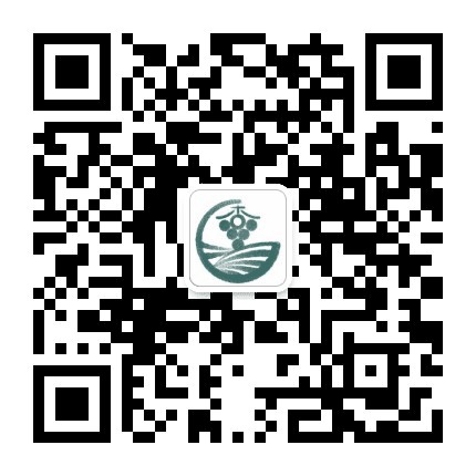 杏叶梨树之声公众号二维码
