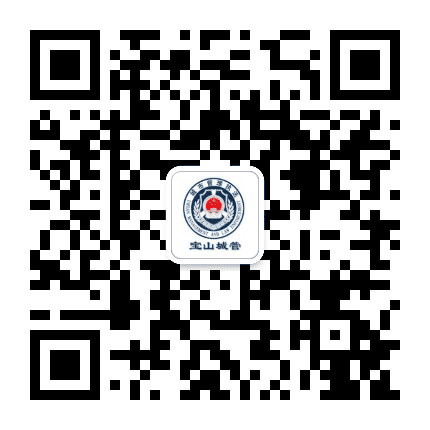 宝山城管公众号二维码