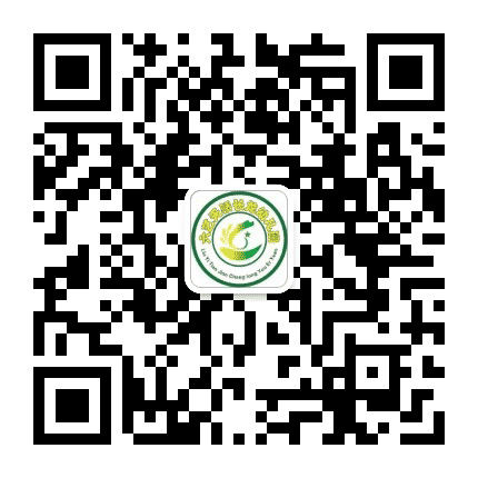 六艺天骄长龙幼儿园公众号二维码