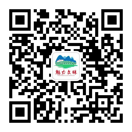 魅力文殊公众号二维码