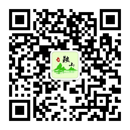 游鞍山2016公众号二维码