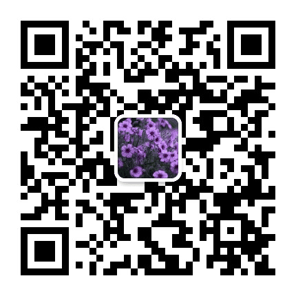 南风低弦公众号二维码