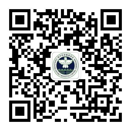 城中禁毒公众号二维码