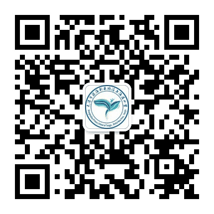 天津滨海新区塘沽上海道小学公众号二维码