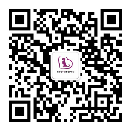 海南小动物保护协会公众号二维码