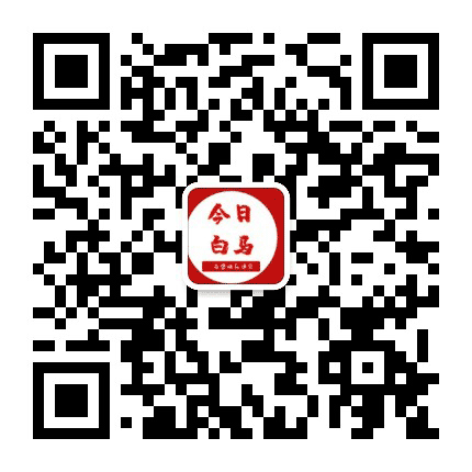 今日白马公众号二维码