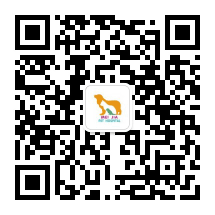 昆明美佳宠物医院公众号二维码