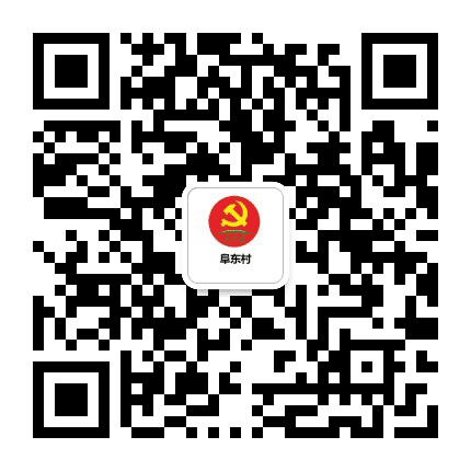 阜东村党群服务中心公众号二维码
