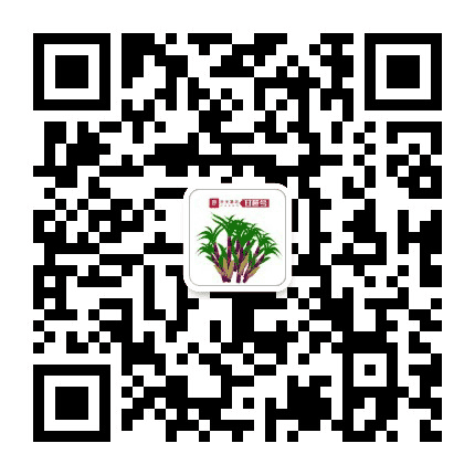 天天惠农甘蔗号公众号二维码
