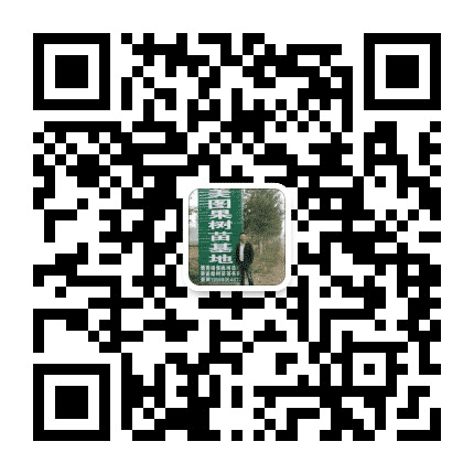 河南美图果树苗木基地公众号二维码