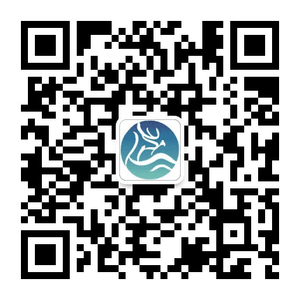 i鹿城公众号二维码