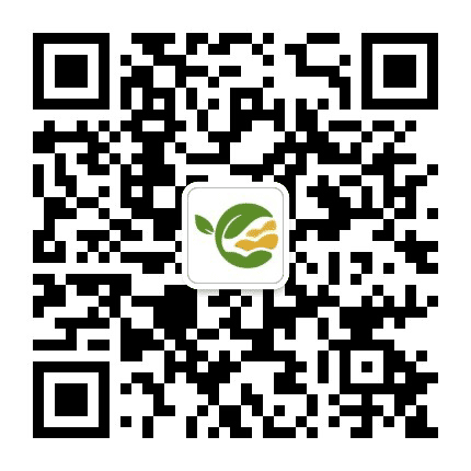 康巴什区第八幼儿园公众号二维码