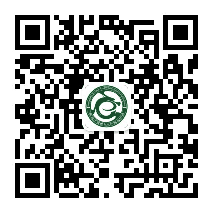 黑龙江省青年电子商务协会公众号二维码