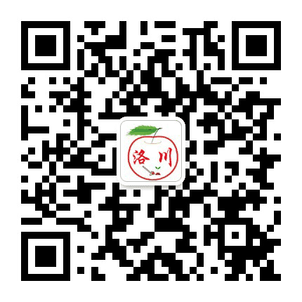 新洛川公众号二维码