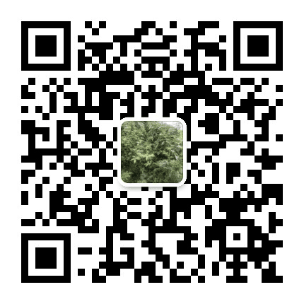 新店政务公众号二维码
