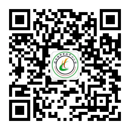 雅韵黑林公众号二维码