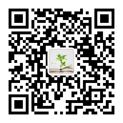 建桥小学教育公众号二维码