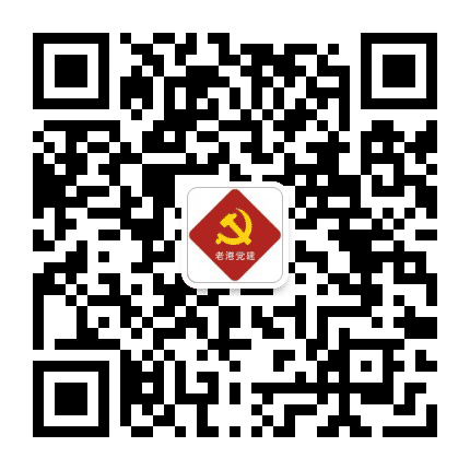 老港党建公众号二维码