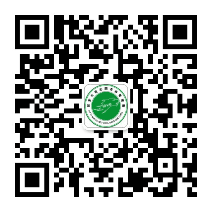桥北林业公众号二维码