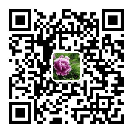 镜湖的Sad公众号二维码