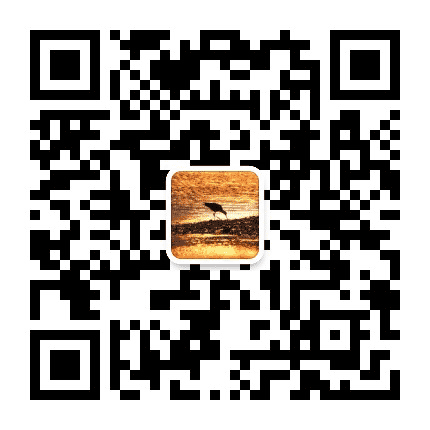 湿地三龙 魅力渔港公众号二维码