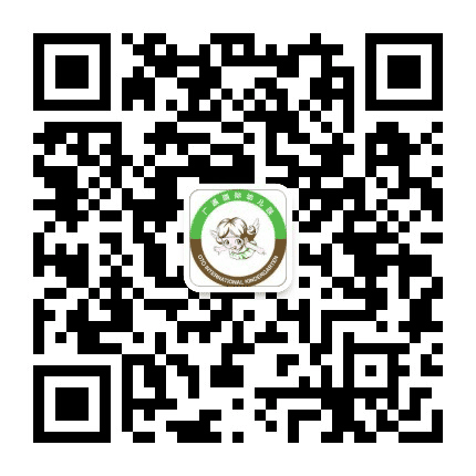 广通国际生态幼儿园公众号二维码
