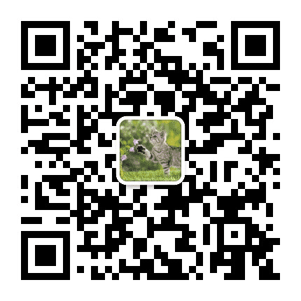 碧云秋色公众号二维码