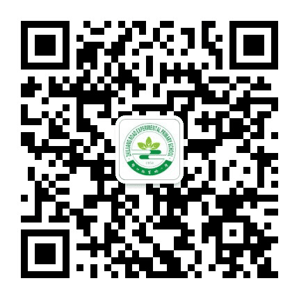 珠江路实验小学校公众号二维码