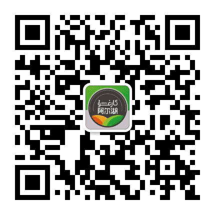阿尔湖公众号二维码