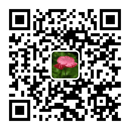 山东花红公众号二维码